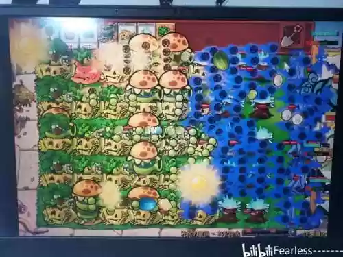 植物大战僵尸菜地阵容搭配，植物大战僵尸菜板插图
