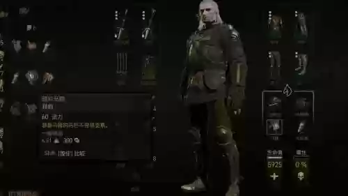 巫师3准装备升级70，巫师3 装备升级插图