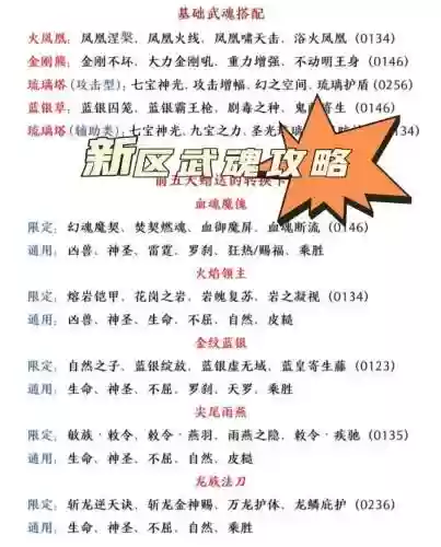 武魂2卡49级攻略，武魂2卡60级攻略插图