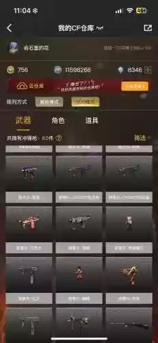 cf斯太尔武器，cf斯太尔多少钱一把插图
