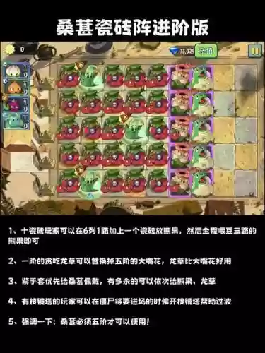 植物大战僵尸高分阵容搭配，植物大战僵尸最完美阵容插图1