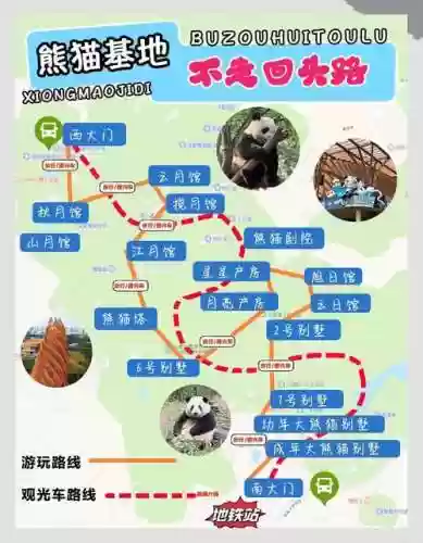 旅行熊猫攻略，熊猫旅行记插图