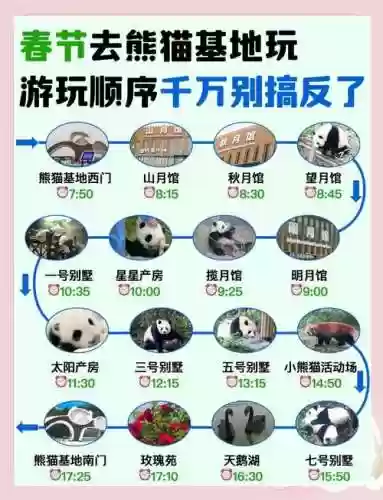 旅行熊猫攻略，熊猫旅行记插图1
